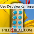 Kamagra Jelly Use new09